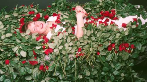 Anke....and lay me down in a bed of roses