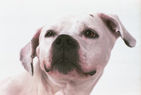 Inka 012....beim kratzen