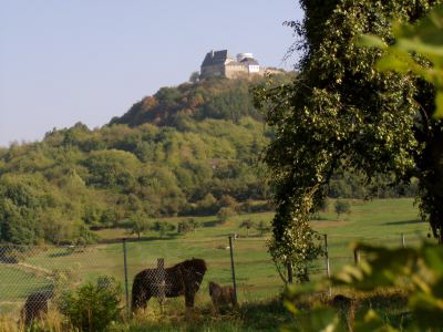 Burg Otzberg / Veste Otzberg